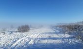 Excursión Senderismo Waimes - botrange au dessus des nuages  - Photo 18