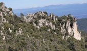 Trail Walking La Roquebrussanne - ROQUEBRUSANNE - Photo 12