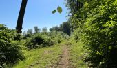 Trail Walking Fleury - en Forêt de Retz_92_05_2022_Rond d'Orléans_Chapeau des Cordeliers_la Laie des étangs de Longpont - Photo 18