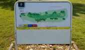 Trail Walking Châtenoy-en-Bresse - 20190524 Parcours 9 trous Roseraie - Photo 9