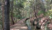 Randonnée Marche Prades - codalet . coll de Clara . abbaye St Michel de Cuxa . canal bohère - Photo 2