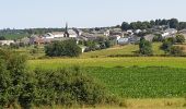 Trail Walking Meix-devant-Virton - Gerouville 1 - Photo 1