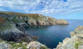 Excursión Senderismo Plogoff - Rando autour de la Pointe du Raz - Photo 4