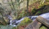 Trail Walking Lepuix - Malvaux - Ballon d'Alsace - La Gentiane - Photo 2