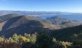 Trail Walking Saint-Raphaël - Les suvières via le pic de l'ours depuis ND - Photo 13