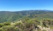 Tour Wandern Gravières - Serre de Barre - Photo 2