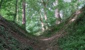 Trail Walking Durbuy - GR57 : BOMAL to MELREUX - Photo 17