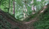 Tour Wandern Durbuy - GR57 : BOMAL to MELREUX - Photo 17