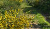 Trail Walking Paliseul - Maissin, pvl juillet 2025 - Photo 19