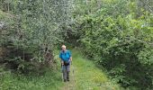 Tocht Stappen Gavarnie-Gèdre - Maillet-Gavarnie 20/06/23 - Photo 8