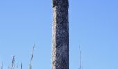 Tocht Te voet Aboim, Felgueiras, Gontim e Pedraído - Rota dos Espigueiros - Photo 2