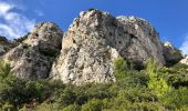 Excursión Senderismo Le Revest-les-Eaux - Le Mont Caume  - Photo 11