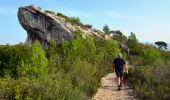 Trail Walking Le Castellet - Trace_Ste_Anne - Photo 9