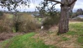 Tocht Stappen Modave - Pont de Bonne 060224 - Photo 20