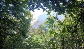 Excursión Senderismo Apremont - Boucle du Mont Joigny depuis le col du Granier - Photo 12