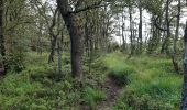 Tocht Stappen Raeren - petergensfeld - rando propose par l office du tourisme ost belgien  - Photo 10