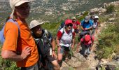 Trail Walking Calvi - Pointe de la bêta - Photo 2