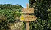 Randonnée Marche Pradelles-Cabardès - Pradelles Cabardès - Photo 6