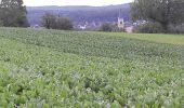 Tour Wandern Heimsbrunn - 19.06.20.HeimMorchHochGalfBurnRein,retour  - Photo 2