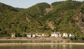 Tour Zu Fuß Sankt Goarshausen - Bergbau- und Landschaftspfad Ehrenthal-Prath-Wellmich - Photo 6