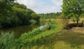 Excursión A pie Wychavon - Pershore Bridges Circular Walk - Photo 3