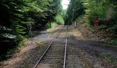 Tour Zu Fuß Feldbach - Gleichenberger Bahn-Wanderweg - Photo 7