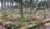 Tocht Te voet Roetgen - Kall-Rur-Panorama-Route - Photo 2