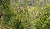 Percorso Marcia Dinant - Falmagne - variante - Photo 2