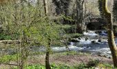 Randonnée Marche Tinlot - Promenade du Hoyoux  - Photo 1