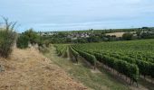 Tour Wandern Montsoreau - Montsoreau - Candes-Saint-Martin Fontevraud-l'Abbaye - 24.4km 435m 5h40 (45mn) - 2024 07 14 - Photo 13