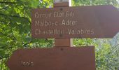 Percorso Marcia Isola - Boucle de Louch - Photo 4