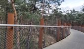 Tocht Wegfiets Zonhoven - bosland dans les arbres au limbourg - Photo 2