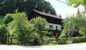 Percorso A piedi Gemeinde Gutenstein - Gutensteiner Panoramaweg - Photo 2