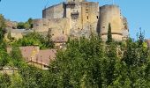 Randonnée Vélo électrique Castelnaud-la-Chapelle - Dordogne - Château des Milandes La Roque Gageac - Photo 3