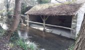 Tour Wandern Courances - Courabces,Moigny,Videlles ,Dannemois - Photo 2