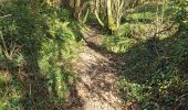 Trail Walking Moyaux - Moyaux - Photo 2