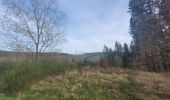Tour Wandern La Roche-en-Ardenne - rando samrée 19-03-2024 - Photo 15