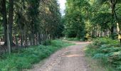 Trail Walking Saint-Hubert - Transforestiere 3  - Photo 15