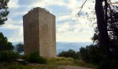 Tour Wandern Puget-Ville - SityTrail - Terre blanche et tour du Faucon départ de Puget ville  - Photo 5