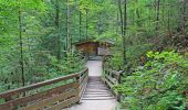 Trail On foot Ramsau bei Berchtesgaden - Wanderweg 67 - Photo 7