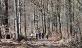 Trail On foot Vaihingen an der Enz - Blauer Punkt, Horrheim - Fleckenwald - Photo 6