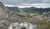 Trail Walking Séranon - Seranon <-> Caille - Photo 17