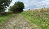 Tocht Stappen Thuin - Thuin vallée de la Biesmelle 16 km - Photo 13