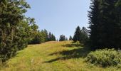 Trail Walking Septmoncel les Molunes - Septmoncel - Le sentier des chamois  - Photo 1