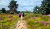 Trail Walking Château-Landon - Linéaire de Chateau Landon à Nemours - Photo 10