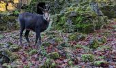 Tour Zu Fuß Unbekannt - A2 - Kahler Berg - Photo 7