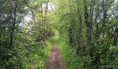 Trail Walking Theux - lareid . vertbuisson . haut marais . fraineux . la reid  - Photo 15