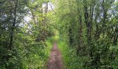 Randonnée Marche Theux - lareid . vertbuisson . haut marais . fraineux . la reid  - Photo 15