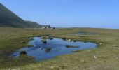 Randonnée A pied Unknown - Foula Pier to South Ness and Da Sneck - Photo 1