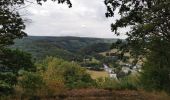 Tour Wandern Bouillon - Dohan 12km 2020  - Photo 16